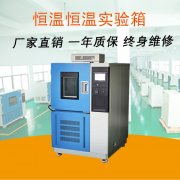 提升新能源汽車質量：恒溫恒濕試驗箱關鍵因素與優(yōu)化方向