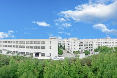 攜手同心、行而不輟，奔赴美好的2024